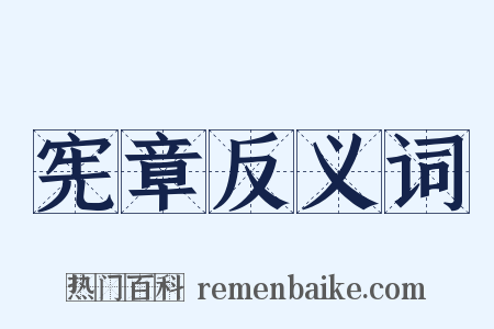 宪章反义词是什么意思的图片
